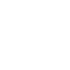 CHEMISE DE COWBOY