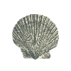 Shellfish