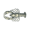 lobster