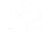 Work in Progress