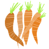 Carrots / carrots
