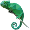 Chameleon Chamaeleon Chameleon