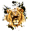 König der Tiere Löwe