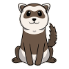 Furet mignon bébé animal