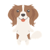 Kooikerhondje Gift Idea