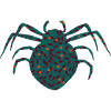 spider animal crawling phobia
