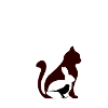 Animaux Quartet