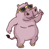 hippo