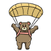 Paragliding Bear
