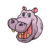 hippo