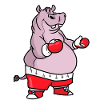 Hippopotamus boxing
