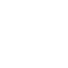computer scientist