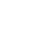 fsociety