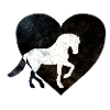 Dressurpferd