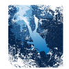 Diver Dive & Fun