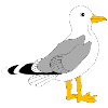 Whimsical Grey Wing Duck Illustration