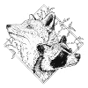 The fox + the raccoon