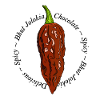 Bhut Jolokia Chocolate Chili Chilli Ghost Pepper