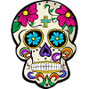 Mexican skull