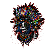 indien skull