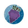 Grapes gift Christmas kids