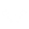 V8 Motor