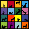 Specialcube Pixel