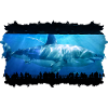Requin mégalodon dans l'aquarium