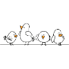 PiGEONS