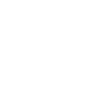 Cute duck