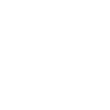 Dragon Dragon - Dragon Shirt