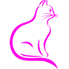 Pink cat