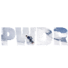 PWDR snowboard poudre snowboard