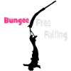 Bungee Fall
