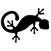 Gecko