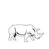 Chubby Unicorn