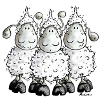 "Mc Wool" - sheep - mouton- moutons