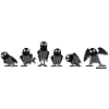 Owls in black