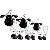 Mouton - Moutons