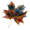 Autumn leaf landscape gift idea