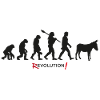 evolution revolution donkey man