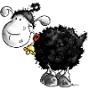 "Woolly Wool" - sheep - mouton