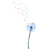 Dandelion, Dandelion, Spring, Spring