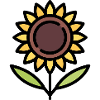Sunflower gift idea