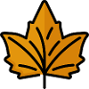 Autumn leaf foliage gift idea