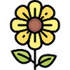 Yellow flower gift idea