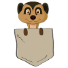 Lustiges Erdmännchen in Brusttasche