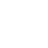 Stuyvesant Leader Physical Ed