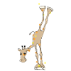 giraffe handstand
