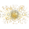Block Chain